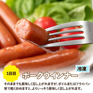 ＜定期便・計3回(連続月)＞ ナンチク 加工品 セット ( Newポークウインナー / 焼き豚 / サラダハム ) 【ナンチク】i1205-A