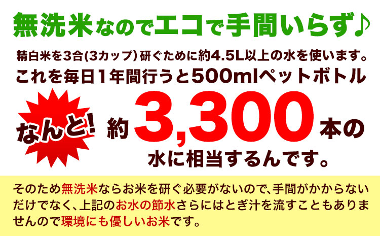 【3ヶ月定期便】熊本ふるさと無洗米 15kg 訳あり《お申込み月の翌月から出荷開始》 熊本県産 無洗米 5kg×3袋---mifune_lcl_139_mo3num1---