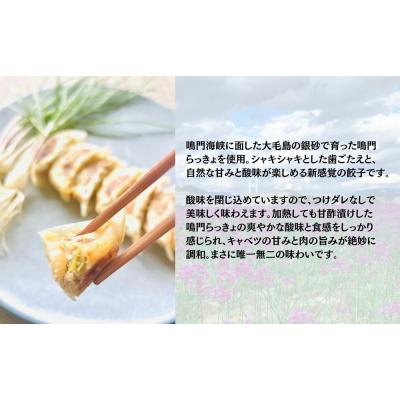 ふるさと納税 鳴門市 鳴門らっきょ餃子(10個入箱)×3箱セット |  | 01