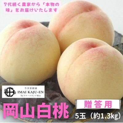 【ふるさと納税】【2027年発送】岡山県産白桃　5玉・約1.3kg(クール便)_ 白桃 桃 もも モモ 1.3kg 5玉 クール便 贈答 果物 くだもの フルーツ デザート 岡山県 津山市 産直 産地直送 ギフト プレゼント 送料無料 【配送不可地域：離島】【1614347】