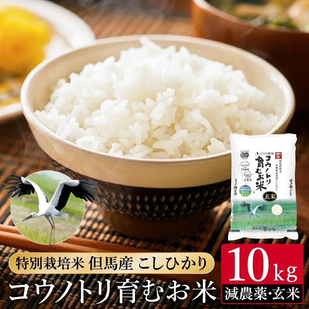 令和7年産 減農薬 特別栽培米 コウノトリ育むお米 玄米 10kg（5kg×2袋）
