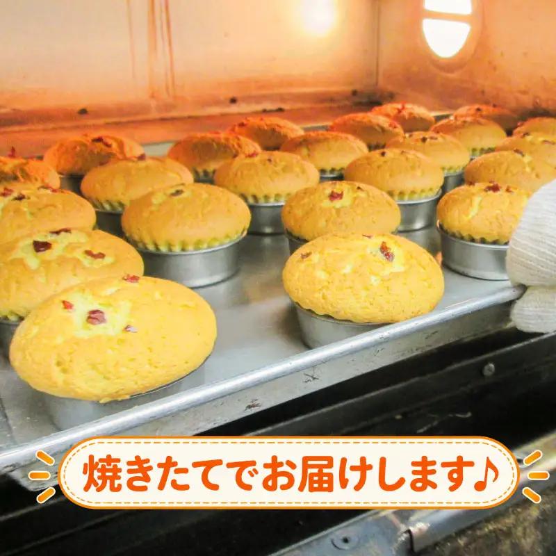 きなこカップケーキ 5個セット 八幡 京都
