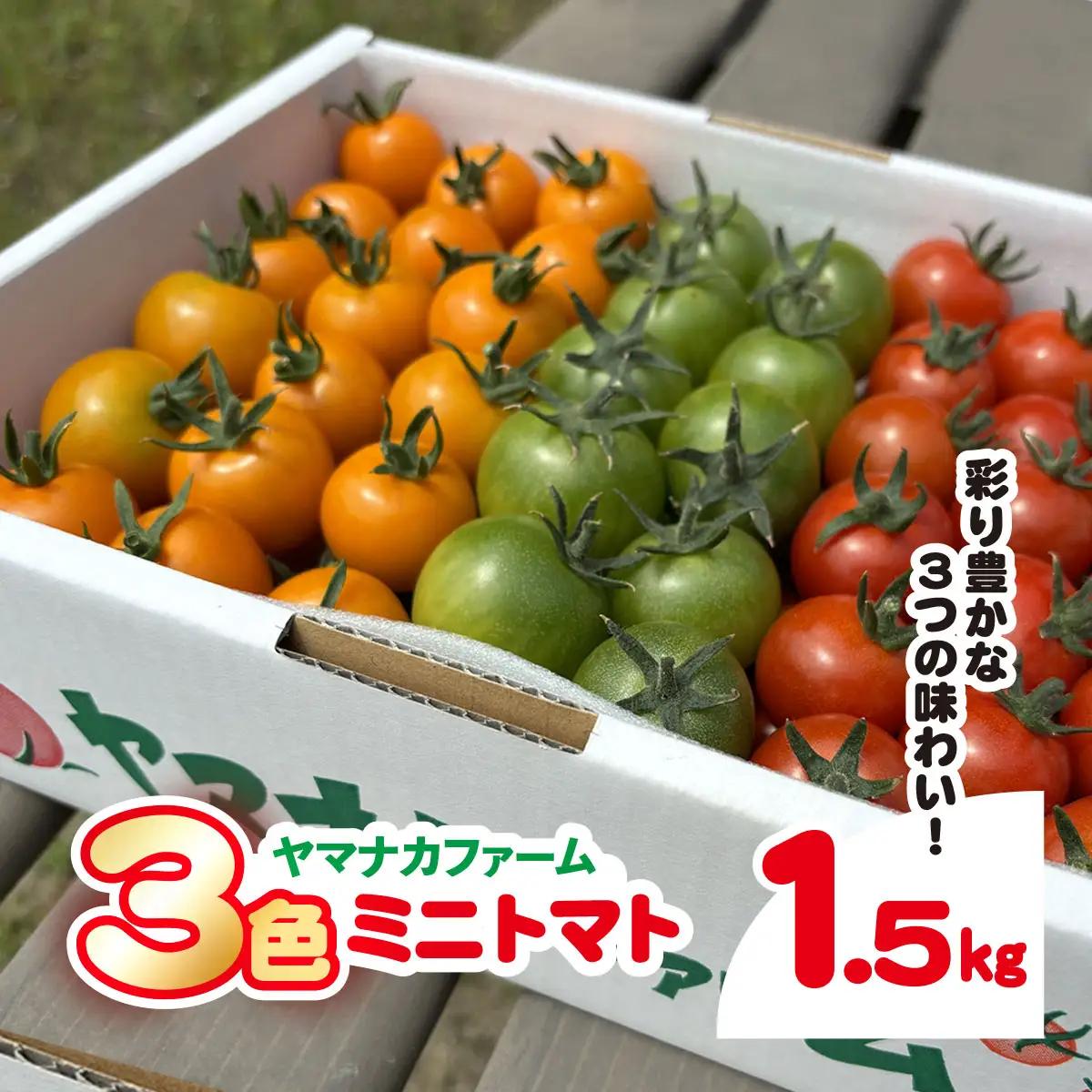 3色ミニトマト　1.5㎏ SHAK001