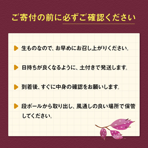 さつまいも 紅はるか 訳ありB品 10kg サツマイモ 甘藷 産出額 日本一 茨城県 鉾田市