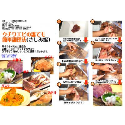 ふるさと納税 東洋町 活き〆ウチワエビ　小1000gセット(12〜15尾)天然高知県産!刺身OK!　誰でも簡単説明書付! |  | 02