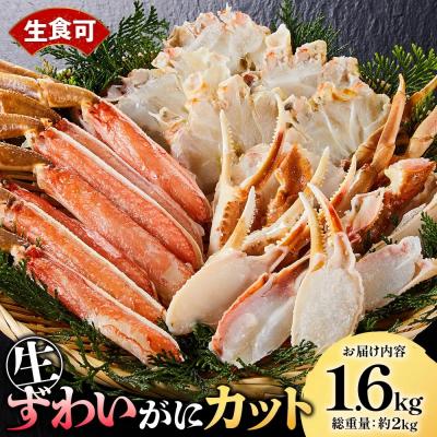 ふるさと納税 境港市 生ずわいがにカット(生食可)(1.6kg/総重量約2kg)