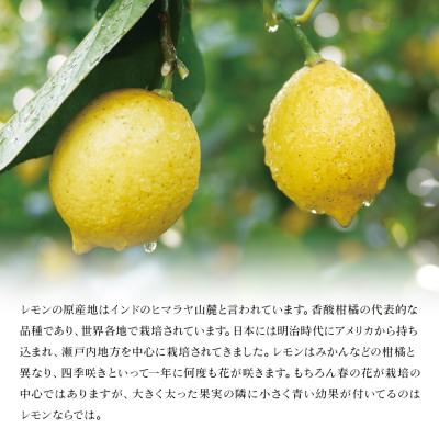 ふるさと納税 西予市 【先行受付】<無茶々園のレモンレモンの本 約1kg 愛媛 えひめ>果物 おいしい |  | 01