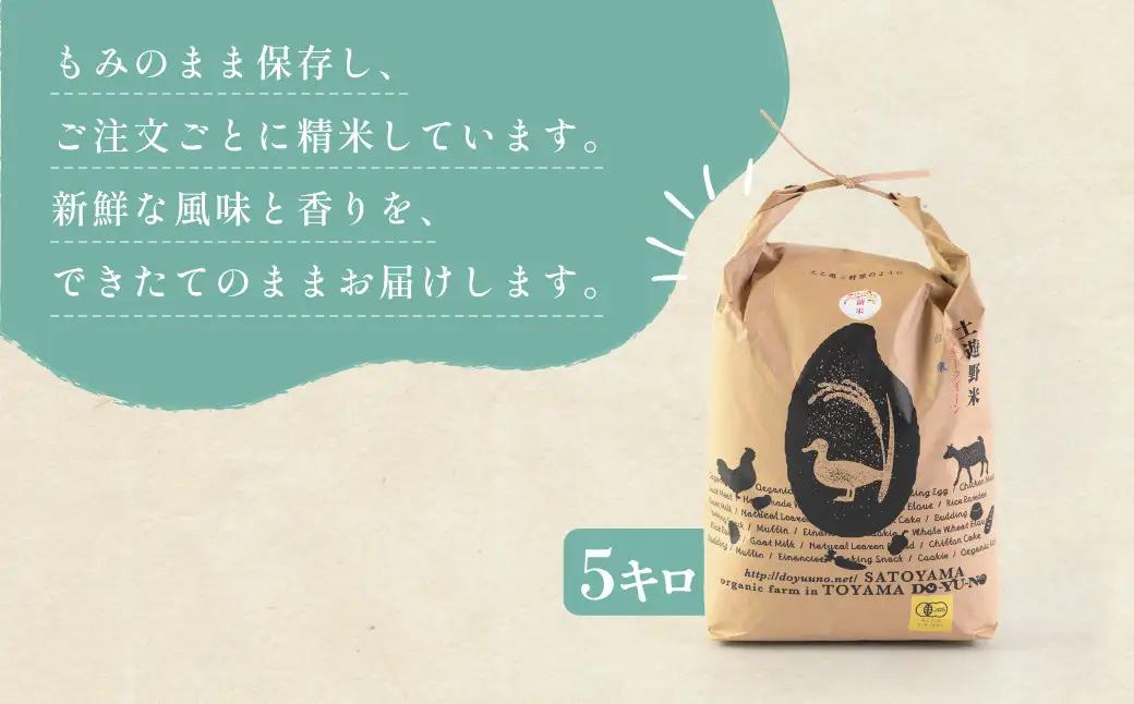 有機米 ミルキークイーン 5kg （有機JAS認証米） 米 白米 精米
