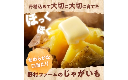 【先行予約】2026年9月下旬発送 北海道産 じゃがいも食べ比べセット 「きたあかり・男爵」 5kg  ジャガイモ 芋 いも 秋野菜 季節の野菜 直送農場 北海道雨竜町産 サイズ混同 野菜 U012-