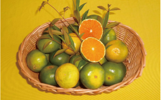 ≪秀品≫和歌山由良町産 由良早生みかん 約5kg サイズおまかせ【sml106C】