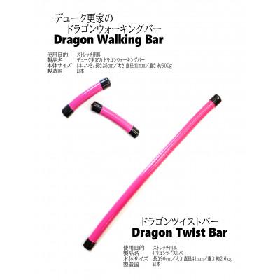 ふるさと納税 御坊市 デューク更家のドラゴンウォーキングバー(2本セット)+ドラゴンツイストバー