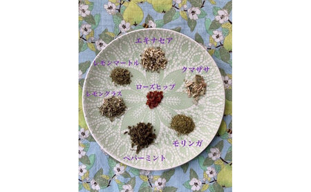 バイタルケアハーブセレクション ティーバッグタイプ 3種類 各1.7g×30P ブレンドティー ハーブティー ハーブ リフレッシュ 美味しい プレゼント 贈り物 sincerely herb あこ茶 