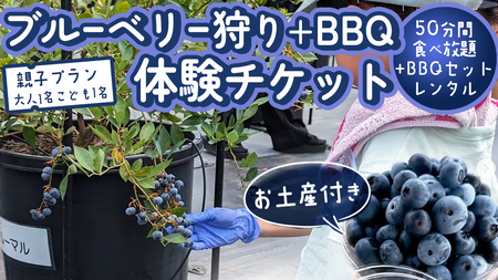 【寄附受付は2025年8月5日まで】 ブルーベリー狩り ＋ DAYキャンプ 体験チケット 《親子プラン レンタルBBQ道具＋お土産付き》 ブルーベリー ベリー 食べ比べ 食べ放題 収穫 収穫体験 キャンプ BBQ バーベキュー 肉 旅行 レンタル 体験 チケット 招待券 レジャー 観光 親子 ふれあい お土産 おみやげ 多品種 果実 果物 くだもの フルーツ 自然体験 農業体験 茨城県 桜川市 [DZ014sa]