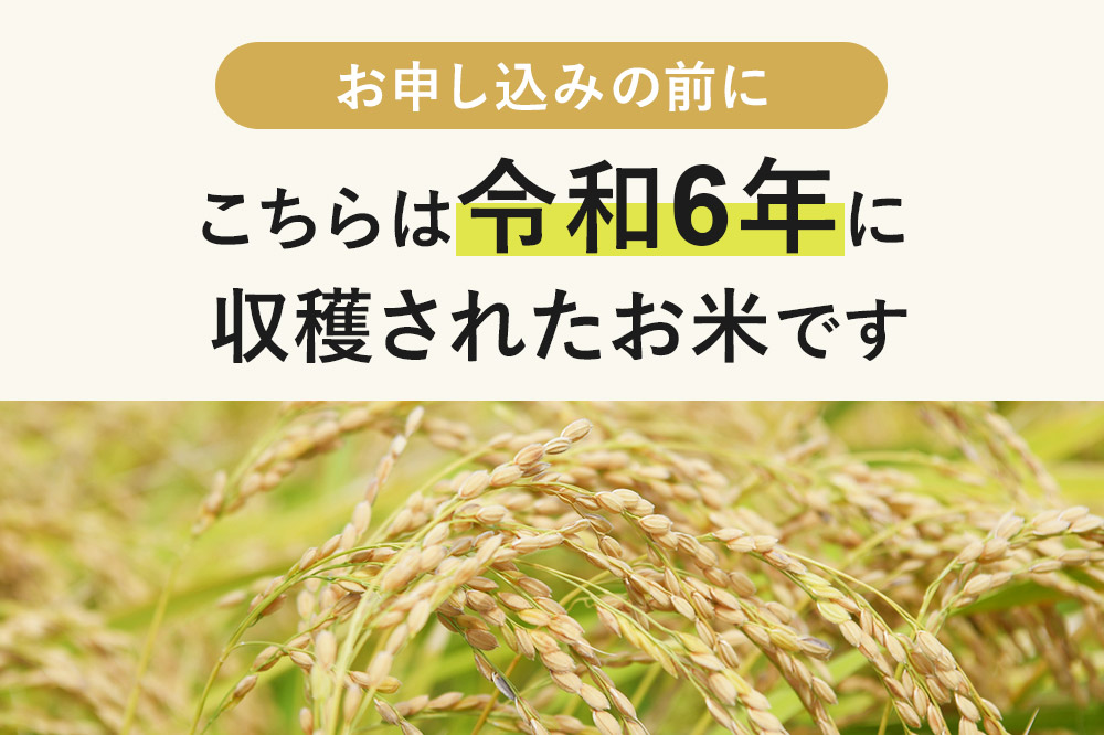 《1回のみお届け》令和6年産 【無洗米】通算5回特A 秋田県産ひとめぼれ 計5kg (5kg×1袋)