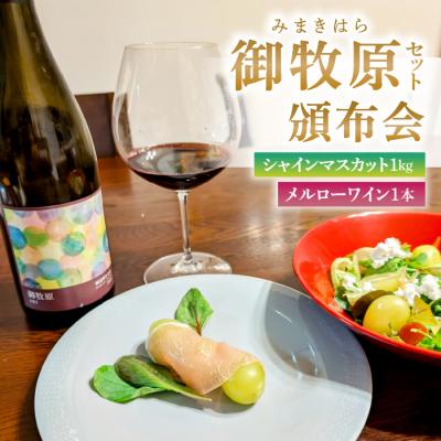 ふるさと納税 東御市 【御牧原(みまきはら)おいしい農園】御牧原セットA(シャインマスカット1kgとメルローワイン1本)
