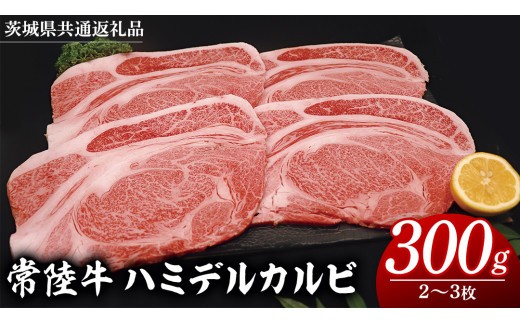 
                  【 スピード発送 】【常陸牛 】 ハミデルカルビ300g（2～3枚） (茨城県共通返礼品) 国産 焼き肉 カブリ ゲタ リブ芯 リブ巻 中落ちカルビ バーベキュー BBQ お肉 ブランド牛 黒毛和牛 和牛 国産黒毛和牛 国産牛 牛肉
                