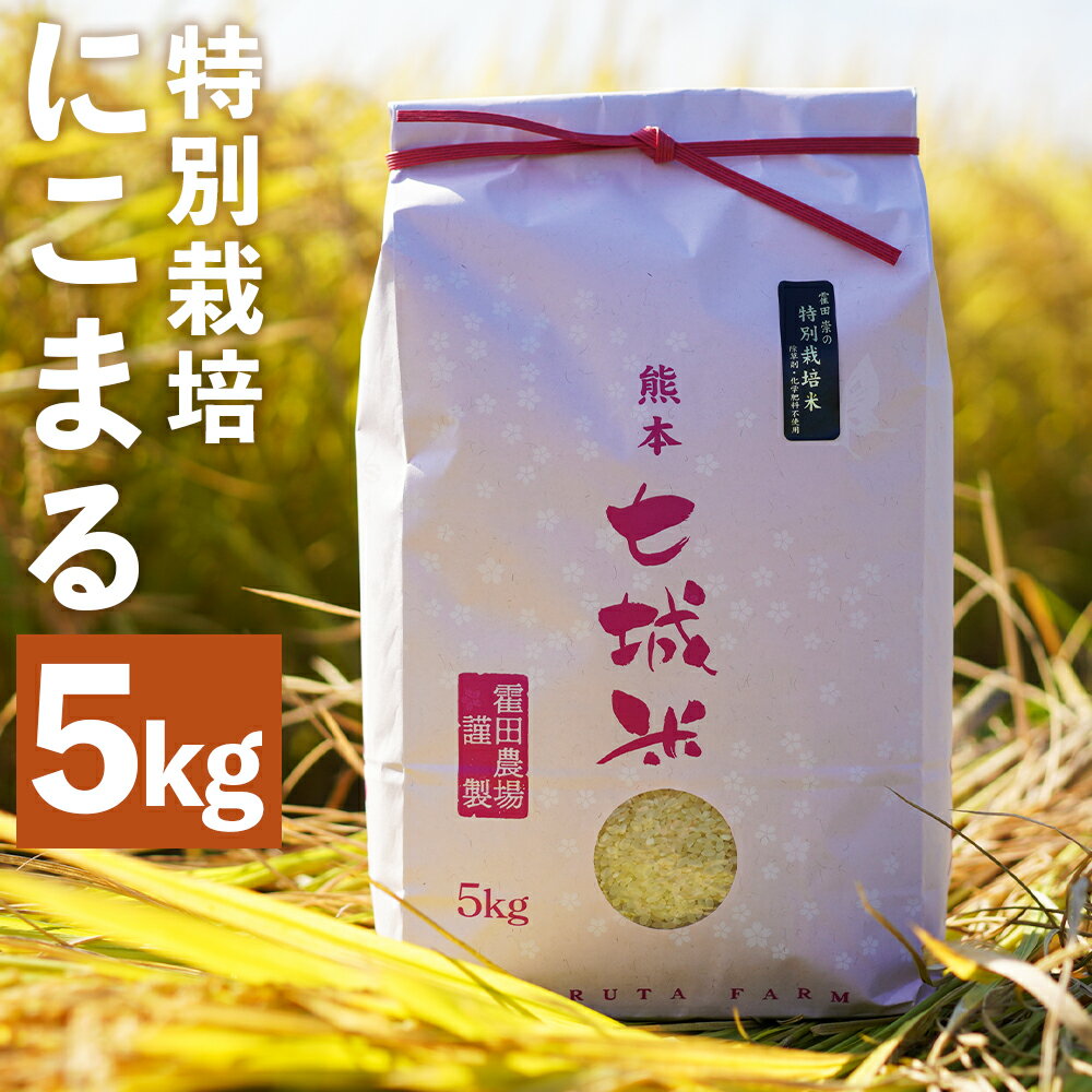 【ふるさと納税】極にこまる 5kg 白米 精米 お米 令和7年産 特別栽培米 熊本県産 九州産 送料無料 【2025年11月上旬より発送開始予定】新米 お米 精米 白米 極にこまる 菊池市産
