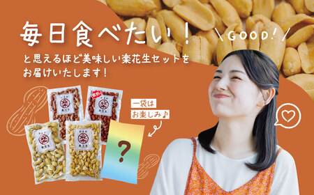 落花生 豆 毎日食べたい落花生セット（5袋）B  009-05-1