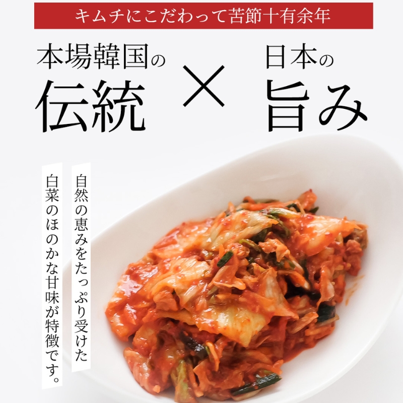【定期便】12ヵ月連続でお届け！辛党におすすめ！切れてる大辛キムチ 3kg 国産 白菜キムチ 国産 長野県 韓国屋 信州韓国屋 新鮮 健康 発酵食品 おつまみ おかず ご飯のお供 お酒のお供 韓国 白