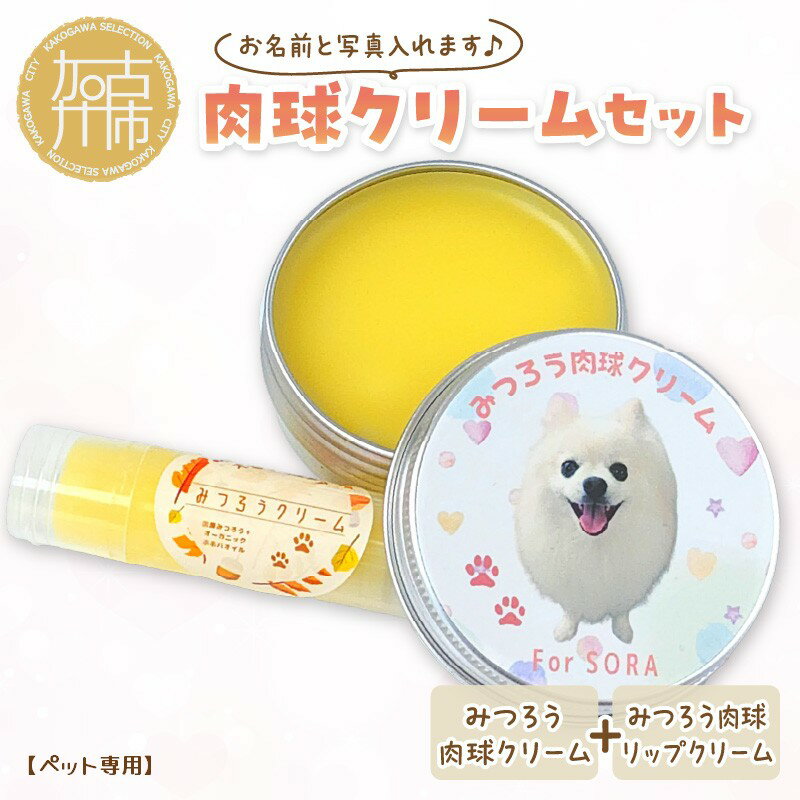 【ふるさと納税】肉球クリームセット うちの子専用肉球クリーム20g+リップクリーム1個 《 犬 ケア みつろう リップクリーム クリーム セット 詰め合わせ オリジナル セミオーダー ホホバオイル 》