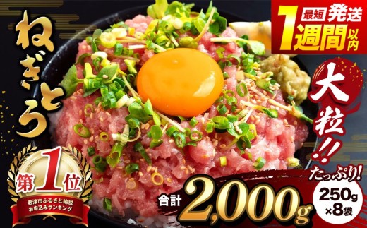 清幸丸水産 大人気！ねぎとろ2000g（250g×8袋 ）最短7日以内発送