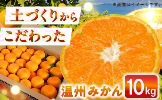 【自然の力を活かした栽培】温州みかん（普通） 10kg -2025年12月下旬より発送- 長与町/農事組合法人希望種（きぼうのたね） [ECQ006] みかん ミカン 柑橘 温州みかん 果物 くだもの フルーツ 長崎みかん 長与みかん 10㎏
