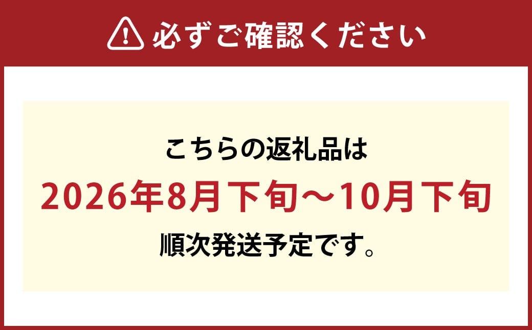 果物詰合せ 合計約1.0kg（シャインマスカット 1房・ニュー ピオーネ 1房）