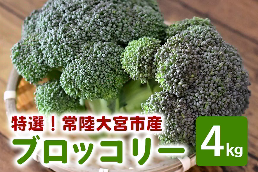 
            特選ブロッコリー 4kg  野菜 ブロッコリー 国産 サラダ ダイエット お弁当にも 新鮮 旬 季節野菜 産地直送 小野瀬農園 ho1418
          