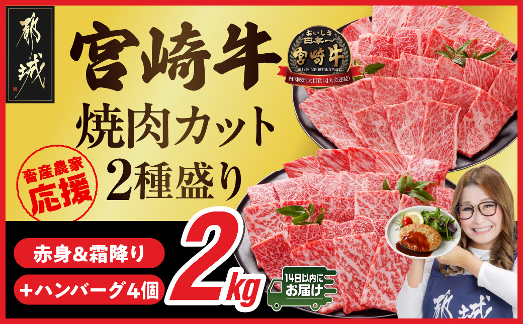 畜産農家応援! 宮崎牛焼肉2種セット500g×4パック+豚肉ハンバーグ100g×4個≪みやこんじょ快速便≫_32-N202-R-ESH