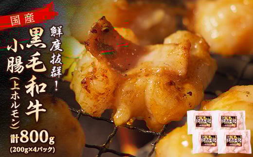 国産黒毛和牛小腸(上ホルモン)800g(200g×4パック)(枕崎市) Z0‐57_肉 牛肉 内臓 黒毛和牛 ホルモン 鹿児島県 人気 おすすめ 送料無料 贈答 ギフト 冷凍 枕崎 牛小腸【16505