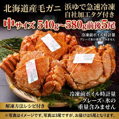 ふるさと納税 白老町 k0705【浜ゆで自社タグ付】北海道産ボイル毛ガニ540g〜580g前後×5尾