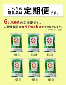 1285T02 【定期便】庄内産雪若丸5kg×6ヶ月連続(2月~7月)