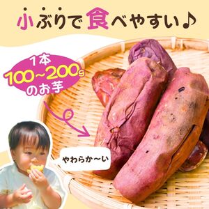 【定期便3回】【訳あり】ゆうゆう農園の焼き芋 冷凍 3kg | 訳あり 焼き芋 茨城県 龍ケ崎市