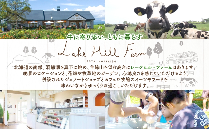 無地熨斗 オリジナルフィナンシェギフト 8個入り フィナンシェ 焼菓子 焼き菓子 お菓子 デザート おやつ スイーツ クルミ くるみ くるみフィナンシェ ブルーベリー ブルーベリーフィナンシェ お取り