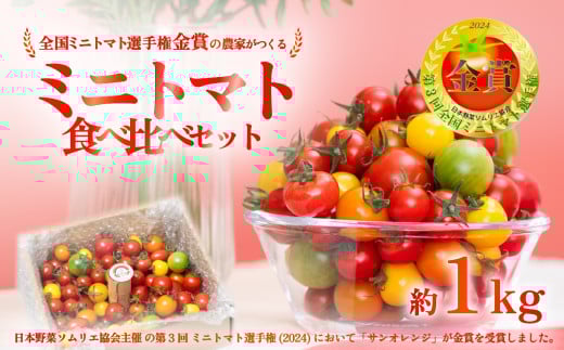 ミニトマト 食べ比べセット 1kg ミニトマト選手権「金賞」農家がつくる【 10種以上 国産 旬 フルーツトマト 高糖度 カラフル 10000円以下 】