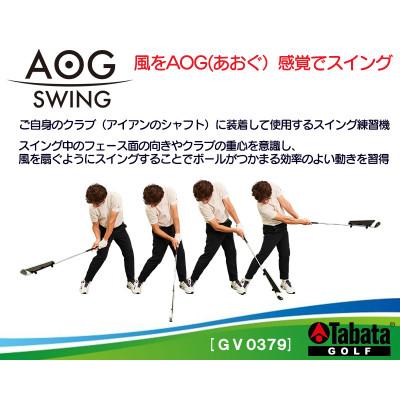 ふるさと納税 常陸大宮市 タバタ　AOG SWING(アオグスイング)　GV0379　スイング練習器具　原田修平プロ監修　 |  | 01