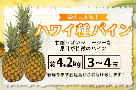 石垣島産 ハワイ種パイン 3～4玉セット 約4.2㎏【 産地直送 石垣島産 石垣 完熟 パイン パイナップル 】TD-7