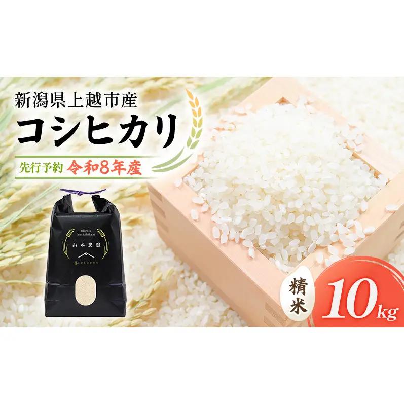 【先行予約】特別栽培米 コシヒカリ 10kg 山本農園 コシヒカリ