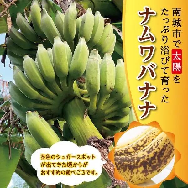  ナムワバナナ 2kg   