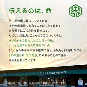 マグカップ　ホッキョクグマ2022 【 旭山動物園 公式 グッズ カップ 日用品 北海道 旭川 】_04590