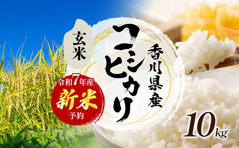 令和7年産　新米「コシヒカリ」10kg（玄米）  お米 10kg 