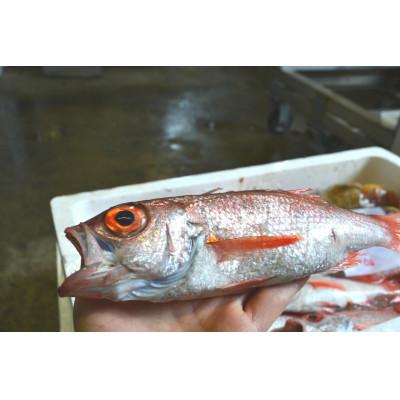 ふるさと納税 小浜市 脂ののりで断トツの高級魚ノドグロ・拘りの塩をかるくして姿のまま焼き上げました。ホクホクのジューシーさ |  | 01