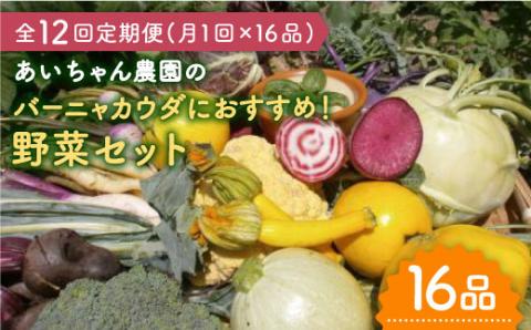 【16品×12回定期便】「バーニャカウダなどに♪」農薬に頼らない！カラダにやさしいお野菜の詰め合わせ 吉野ヶ里町/あいちゃん農園[FAA034]