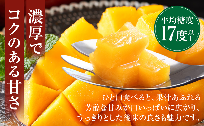《2027年発送先行予約》【数量・期間限定】MASAHIRO MANGO 宮崎県産 完熟マンゴー 2L×2玉 完熟マンゴー マンゴー 果物 くだもの 宮崎