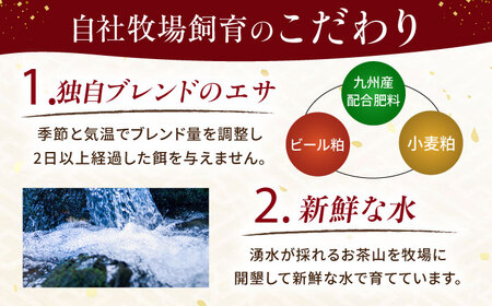 【全12回定期便】『純国産』熊本の味 馬 珍味 セット 計約200g レバー ハツ 刺身タレ付【有限会社 九州食肉産業】[AYCN106]