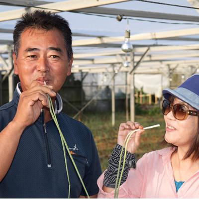 ふるさと納税 八重瀬町 【限定100セット】沖縄県八重瀬町産　島らっきょう約2.4kg |  | 03