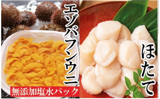 E-40018 エゾバフンウニ塩水パック150g×1P、お刺身ホタテ貝柱500g×1P