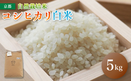 令和7年度産 自然栽培米 こしひかり 5kg 精米 白米