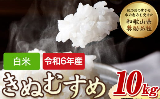 令和6年産 キヌムスメ 10kg 白米 5kg×2 前田農園 《10月末-翌年1月末頃出荷(土日祝除く)》和歌山県 紀の川市 米 白米 きぬむすめ 和歌山県奨励品種 白米 