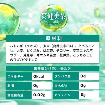 ふるさと納税 砺波市 爽健美茶2.0LPET×6本 |  | 03